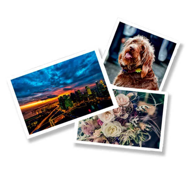 /